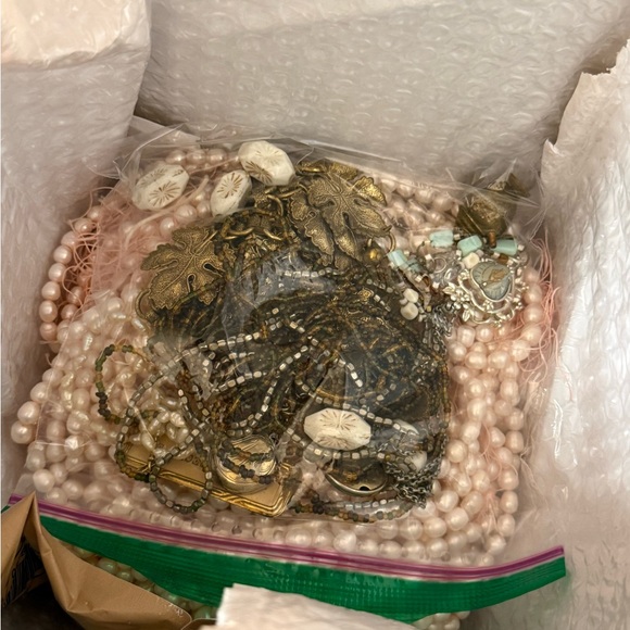 Ivy - Picture 11 of 15